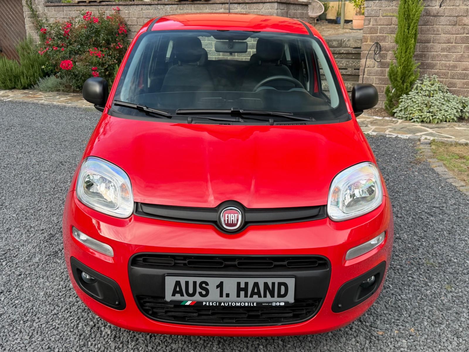 Fiat Panda 1.2 Easy LPG Autogas |1Hand|Neuwertig|LED