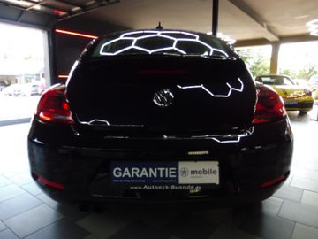 Volkswagen Beetle - 7