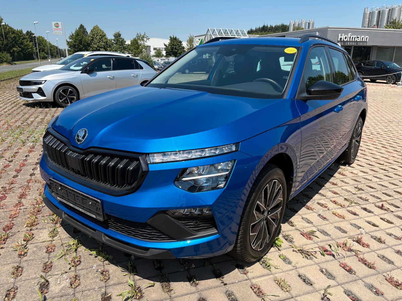 Skoda Kamiq Selection LED/Kamera/SHZ/CarPlay