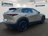 Mazda CX-30 2.5 Homura NAVI LED HEAD UP DAB - Mazda CX-3 Homura mit Benzin-Antrieb