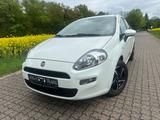 Fiat Punto Pop Klima 5-Türig orig.40tkm TÜV Neu - Fiat Punto: Weiß