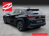 Lexus UX 250h Style Edition Navi LED ACC Apple CarPlay - Lexus UX aus 2022