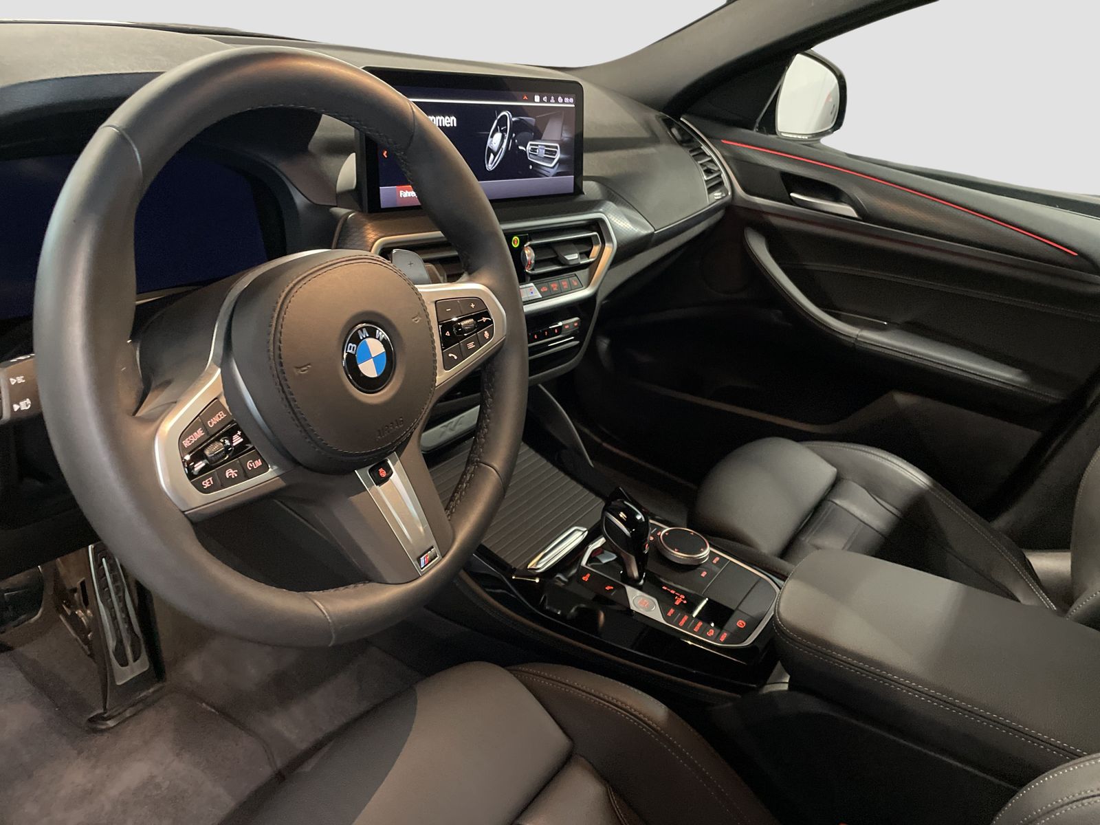 BMW X4 - Bild 10