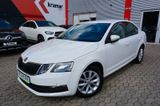 Skoda Octavia 1.6 TDI DSG CLEVER Navigation/PTC - Skoda Octavia mit Diesel-Antrieb: Limousine, 1.6