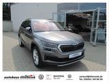 Skoda Kodiaq 1.5 TSI DSG Tour - Skoda Kodiaq Gebrauchtwagen in Dresden
