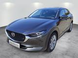 Mazda CX-30 Selection 122 PS Schalter Design-Paket Al - gebrauchte Mazda CX-30 aus dem Jahr 2022