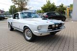 Ford Shelby GT500 - Ford aus 1967: Shelby