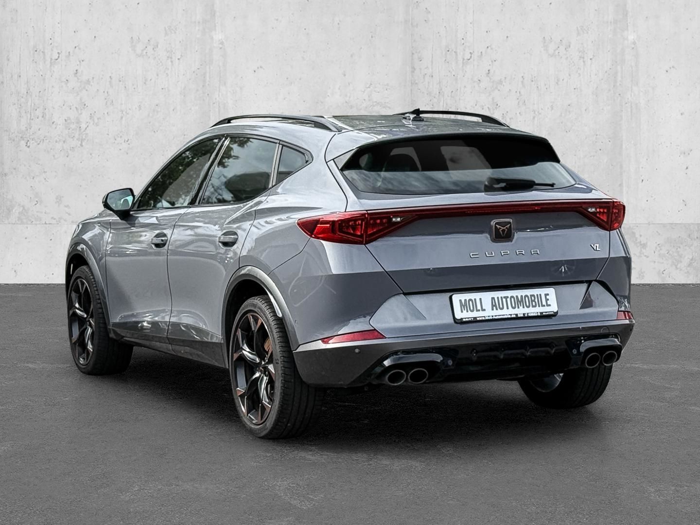Cupra Formentor VZ 4Drive 2.0 TSI EU6d 7-Gang DSG Pano imagem 2