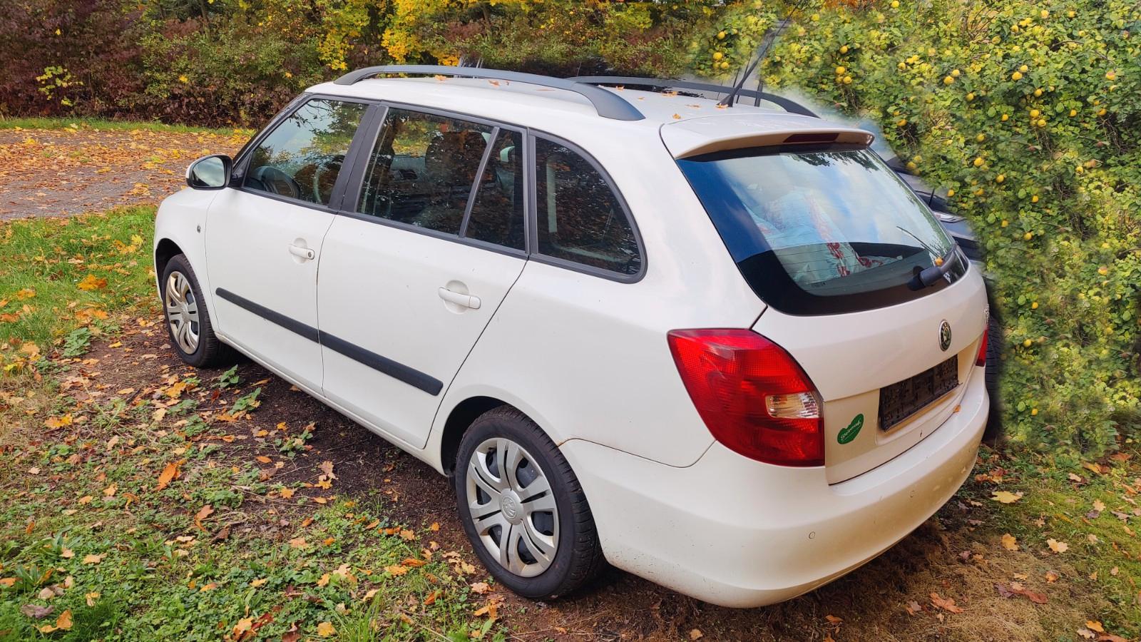 Skoda Fabia 2010 — вигляд ззаду