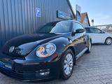 Volkswagen Beetle Lim. (5C1)(10.2011->2016), 1.6 TDI 1.Hand - VW Beetle Diesel von 2012