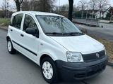 Fiat Panda 1.1 8V Active*AHK*STADTFLITZER*TOP ANGEBOT - Fiat Panda: Van