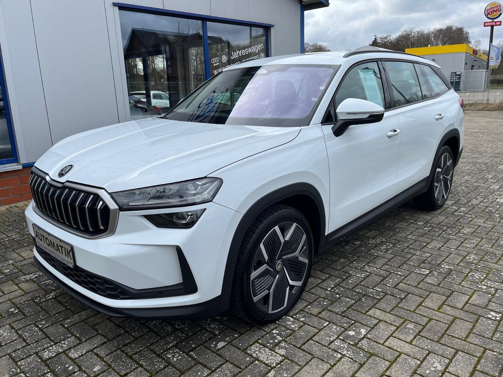 Skoda Kodiaq 2.0 TDI DSG 4x4 Selection Leder Standhzg