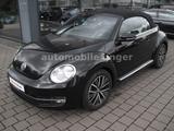 Volkswagen Beetle Cabriolet Allstar NAVI LEDER Kamera - Volkswagen Beetle: Allstar