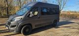 Fiat Ducato Luxusbus /Orig.Km/vieles Neu - Fiat 9-Sitzer