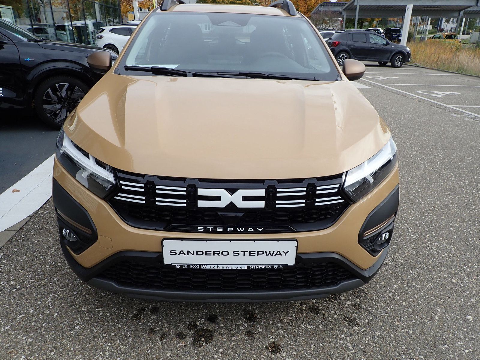 Fahrzeugabbildung Dacia Sandero STEPWAY TCe 110 EXTREME+/NAVI/SHZ/RFK