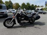 Suzuki VL800C*C800*Koffer*Gepäckträger - SUZUKI VL 800