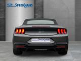 Ford Mustang Convertible 5.0 Ti-VCT V8 328 GT Leder S - Ford Mustang: Cabrio