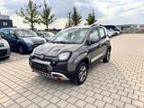 Fiat Panda Cross 4x4 ALLRAD KLIMA/SITZHEIZUNG - Fiat Panda: 4.4