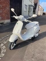 Vespa Sprint 50 All White Neufahrzeug  - VESPA 50 N