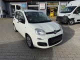 Fiat Panda Pop - Fiat Panda POP mit Benzin-Antrieb