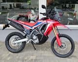 Honda CRF 300  Rally - HONDA RALLYE