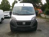 Fiat Ducato Grossr.-Kasten 35 140 L4H2 Kamera Klima - Fiat Ducato: L4h3