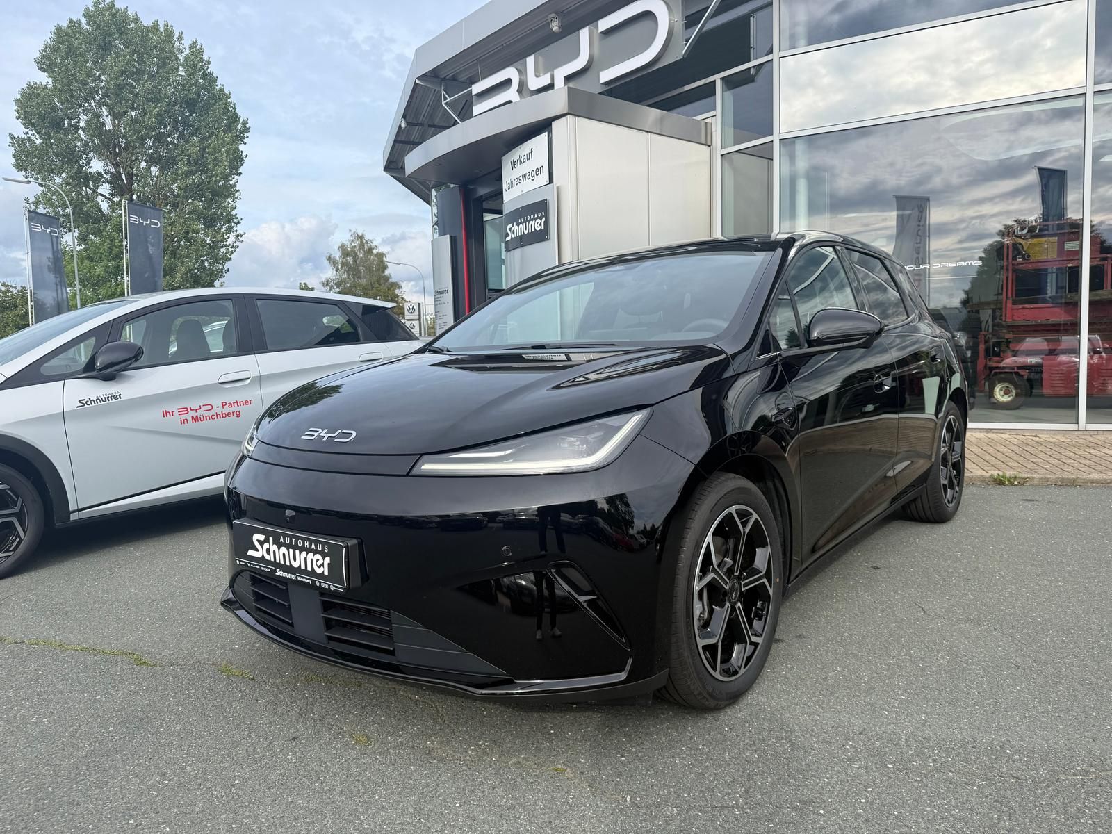 BYD DOLPHIN