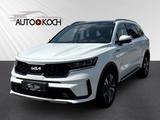 Kia Sorento Platinum 4WD 7-Sitzer HUD AHK-abnehmbar  - Kia Sorento in Aachen