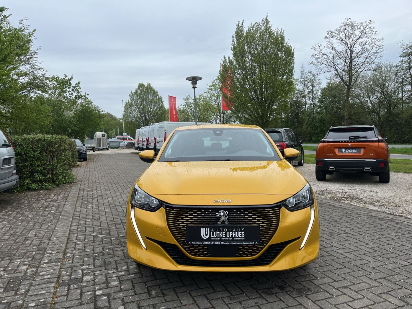 Fahrzeugabbildung Peugeot 208 Active Elektro 136 CarPlay DAB SHZ