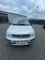 Fiat Panda 1,2  8V  Dynamic
