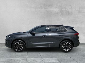 Cupra Terramar - 2
