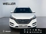 Hyundai Tucson 1.6 Intro Edition *Navi*Kamera*SHZ*PDC*DA - Hyundai TUCSON: Intro Edition