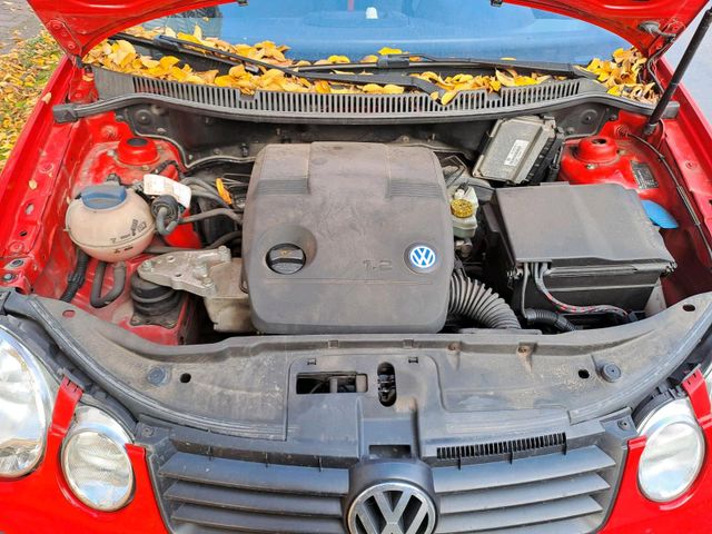 Volkswagen VW Polo 9n ohne TÜV Erstzulassung 2003