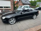 Mercedes-Benz Mercedes CLK 200 Kompressor Avantgarde 6Gang - aus 2006: Mercedes Clk