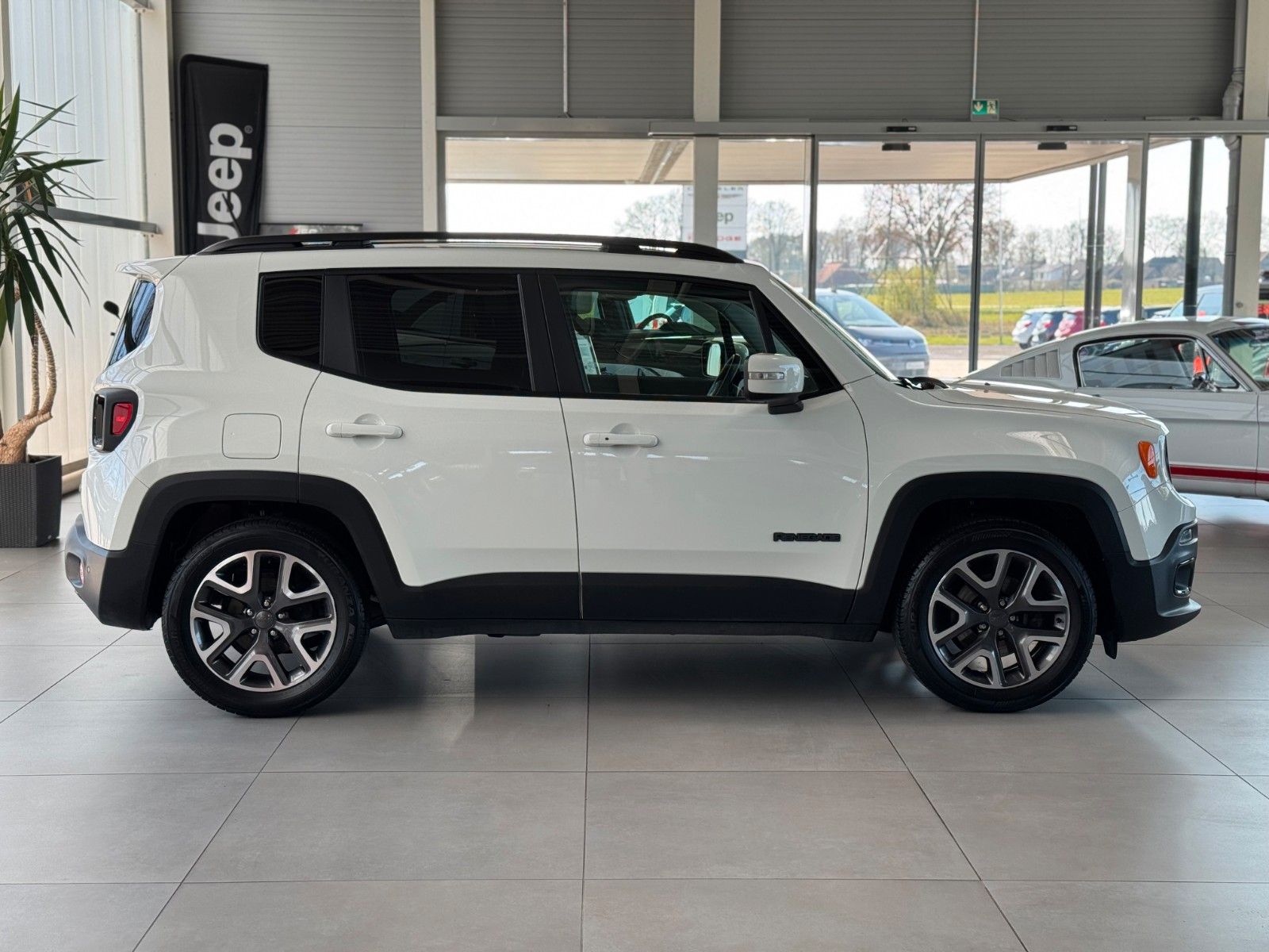 Fahrzeugabbildung Jeep Renegade 1.6 E-torQ Night Eagle FWD "Navigation"