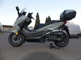 Honda Forza 350 ABS Modell 2025 incl. Anlieferung - HONDA FORZA 350