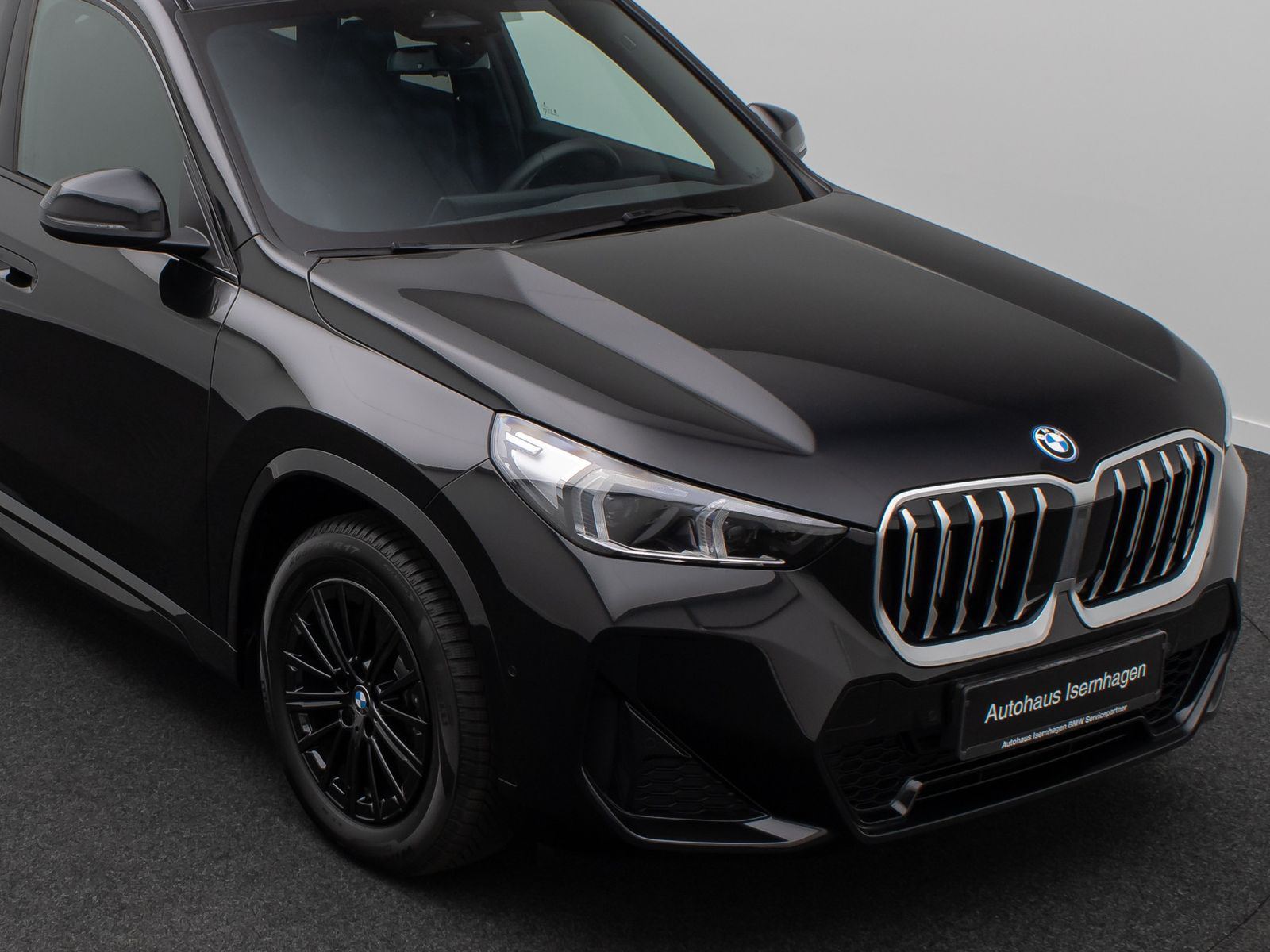 Fahrzeugabbildung BMW X1 xD25e M Sport H/K Kamera Panorama DAB Memory
