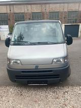 Fiat Ducato 230 / 9 Sitzer - Fiat Ducato mit Benzin-Antrieb
