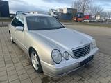 Mercedes-Benz E 240 AVANTGARDE*AUT*KLIMA*ESHD*TÜV-NEU*FACELIFT - gebrauchte Mercedes-Benz E-Klasse aus dem Jahr 1999