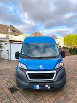 Peugeot Boxer Kastenwagen Sprinter - Peugeot Boxer: Kastenwagen