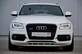 Audi SQ5 3.0 TDI *UNFALLFREI *ERSTLACK *1.HAND *RAUTE - Audi SQ5: TDI