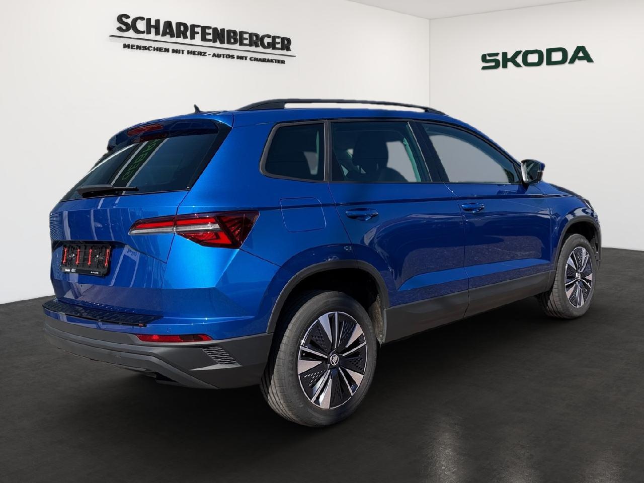 Skoda Karoq Selection DSG *Navi,ACC,RFK,LHZ*, миниатюра 3