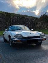 Jaguar XJS 4.0 - Jaguar aus 1993
