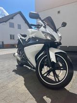 Yamaha YZF-R125 RE06 | Motor revidiert | Fahrbereit | - YAMAHA 2009 YZF R125