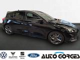 Ford Focus ST 2.3l Ecoboost +NAVI+RFK+WINTERPAKET+ - Ford Focus: St3