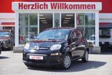 Fiat New Panda Pandina 1.0 mHEV App Connect PDC klima - schwarze Fiat New Panda
