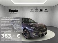 Cupra Terramar - Vorschau Bild 1