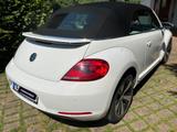 Volkswagen Cabrio Design 1.4 TSI *Xenon*Navi*SHZG*PDC* - Volkswagen Beetle: Weiß