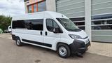 Opel Movano 9 Sitzer Fiat Ducato Lagerfahrzeug Stock - Opel Movano: Behindertengerecht