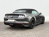 Ford Mustang 5.0VVT-i GT Convertible 55 YEARS DT. FZG - Ford Mustang: Cabrio